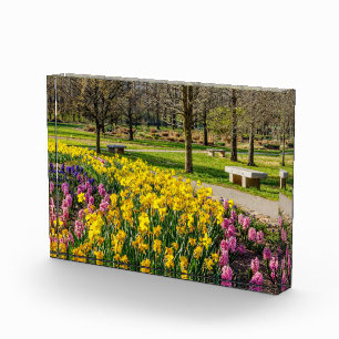 Spring Season Flower Garden Photo Block