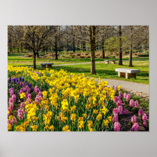 Spring Season Flower Garden Poster