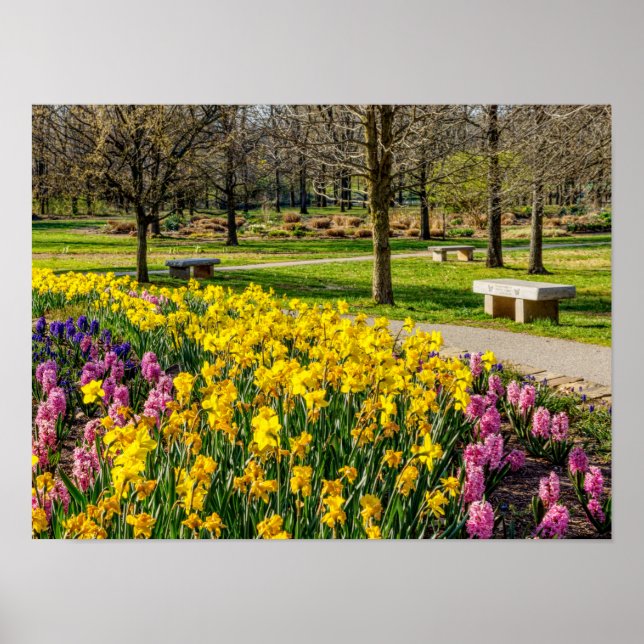 Spring Season Flower Garden Poster (Front)