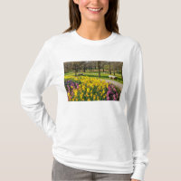 Spring Season Flower Garden
