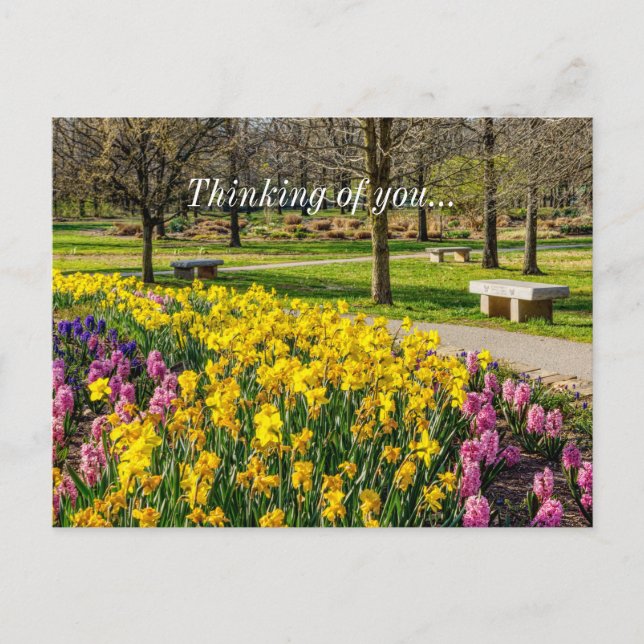 Spring Season Flower Garden Thinking Of You Postcard (Front)