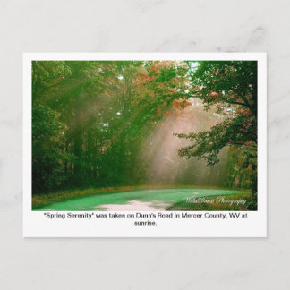 Spring Serenity Postcard
