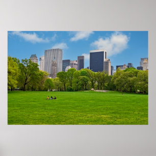 Spring Sheeps Meadow Poster