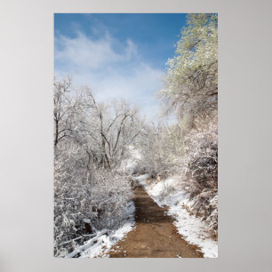 Spring Snow Nature Poster
