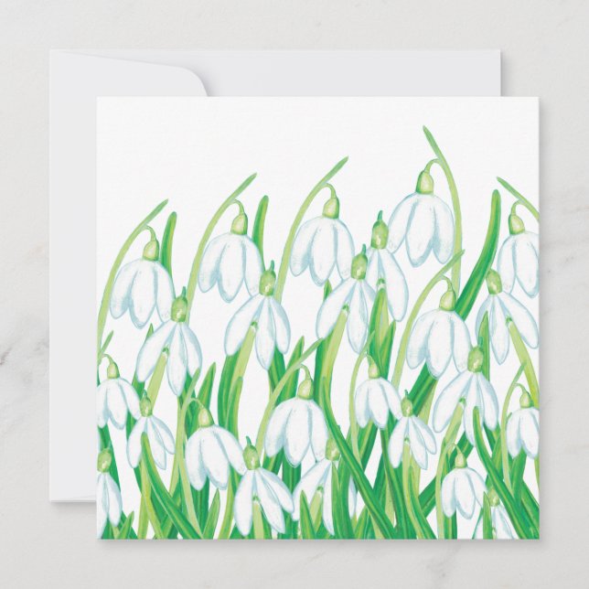 Spring Snowdrops  Card (Front)