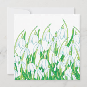 Spring Snowdrops Card