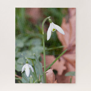Spring Snowdrops Photography Jigsaw Puzzle