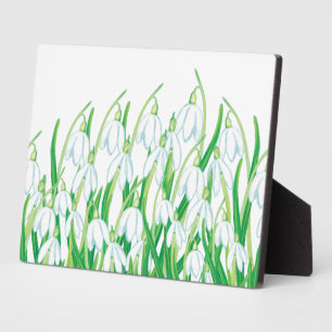 Spring Snowdrops Plaque
