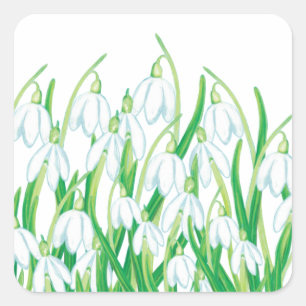 Spring Snowdrops  Square Sticker