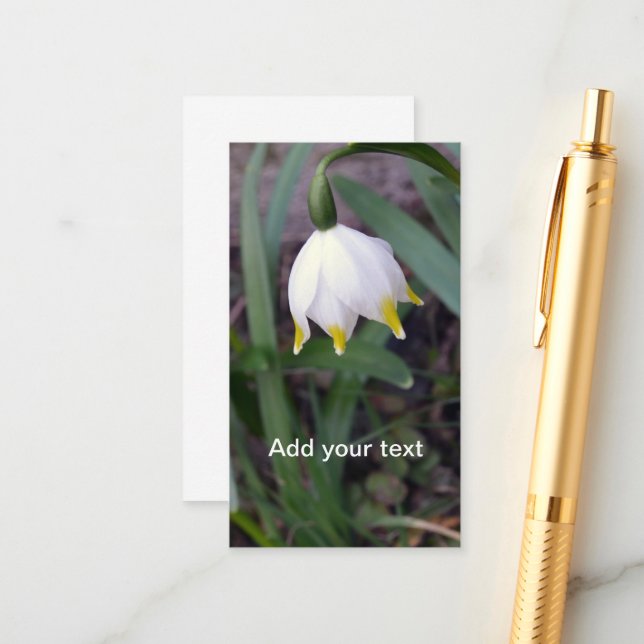 Spring Snowflake Leucojum vernum Customisable Enclosure Card (Front/Back In Situ)