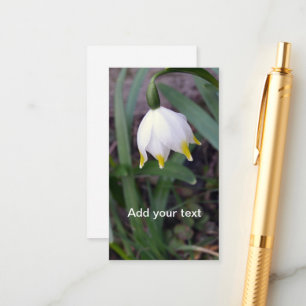 Spring Snowflake Leucojum vernum Customisable Enclosure Card