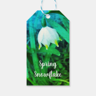 Spring Snowflake Leucojum vernum Flower  Gift Tags