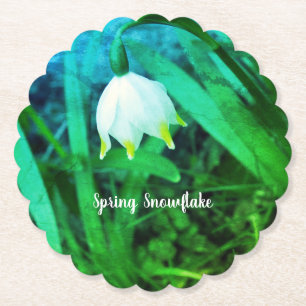 Spring Snowflake Leucojum vernum Flower Paper Coaster