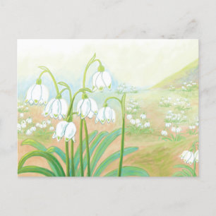 Spring Snowflake, Leucojum vernum Illustration Holiday Postcard