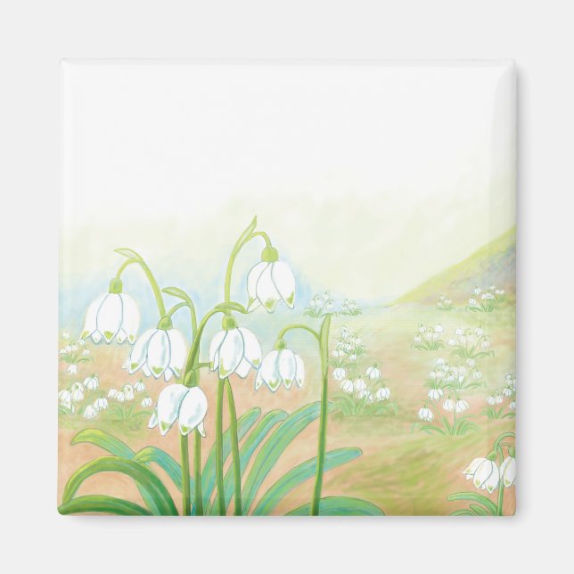Spring Snowflake, Leucojum vernum Illustration  Magnet (Front)