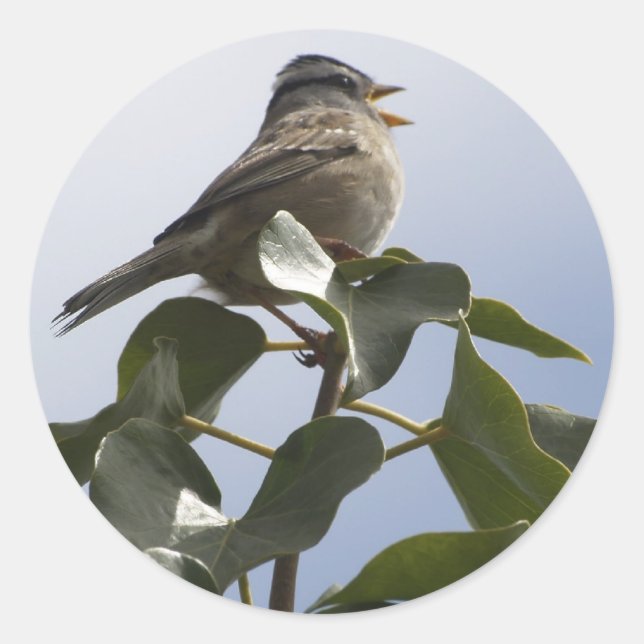 SPRING SONG BIRD Collection Classic Round Sticker (Front)