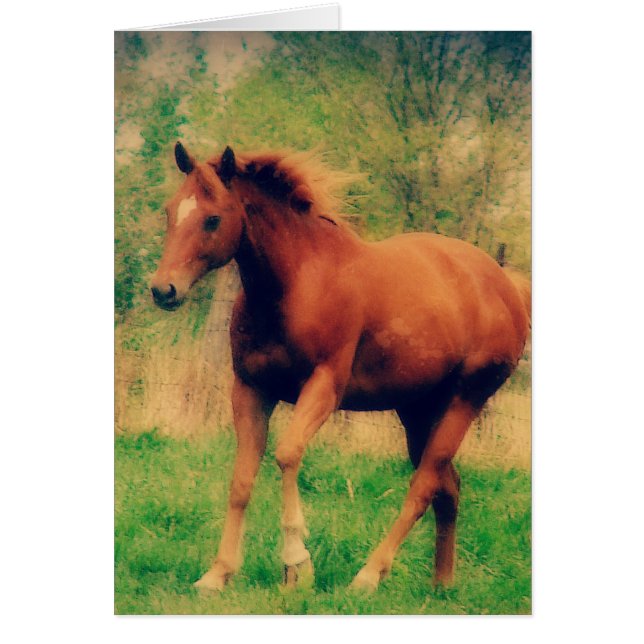 Spring Sorrel All Occasions Greeting Card (Front)