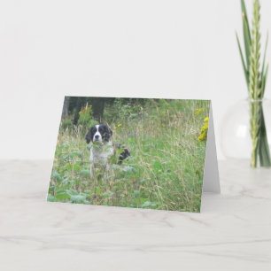 Spring spaniel, greeting card
