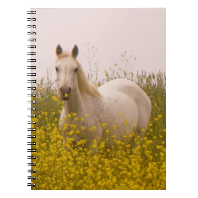 Spring Spiral Notebook (Front)