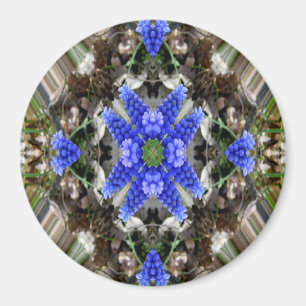 Spring star... magnet