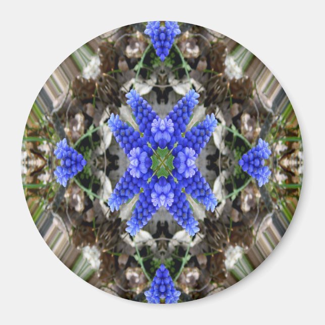 Spring star... magnet (Front)