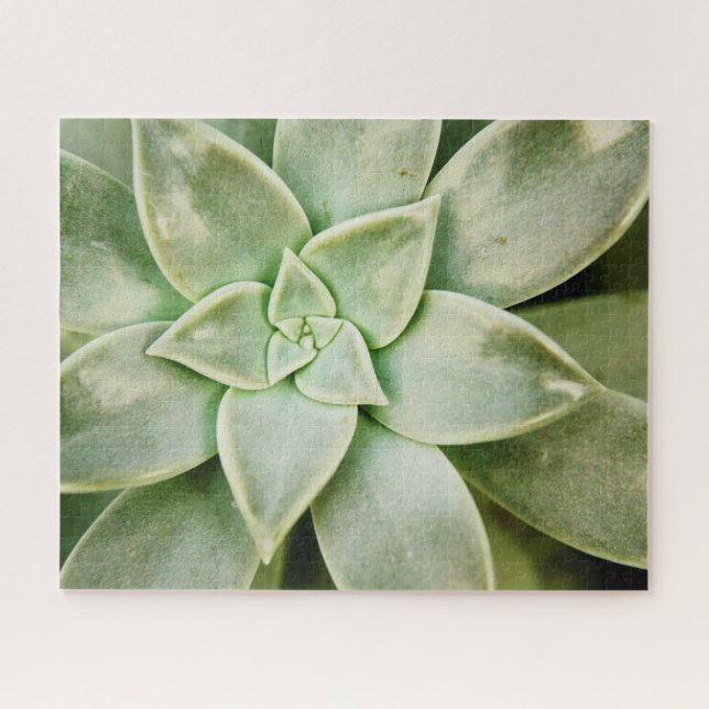 Spring Succulent Jigsaw Puzzle (Horizontal)