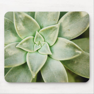 Spring Succulent Mouse Pad