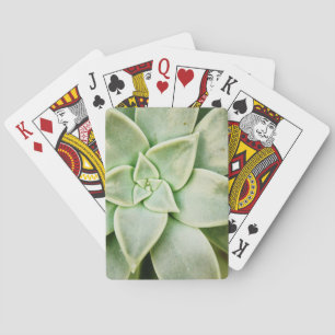 Spring Succulent Playing Cards
