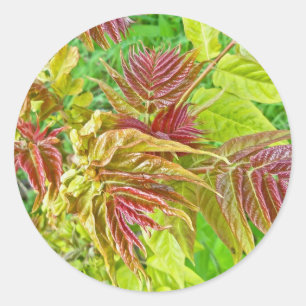 Spring Sumac Leaves Sticker