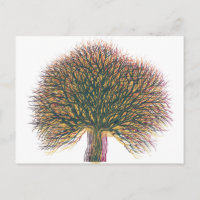 Spring Summer Autumn Winter Tree