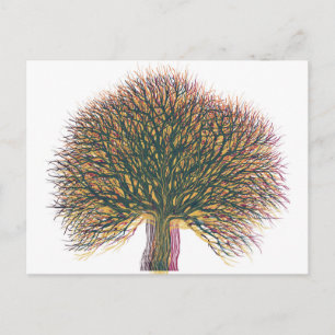 Spring Summer Autumn Winter Tree Postcard