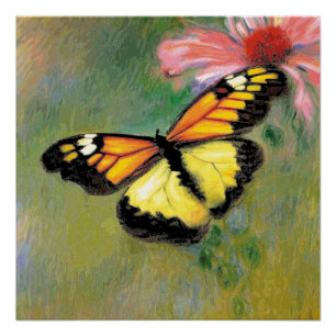Spring Summer Butterfly -  Poster