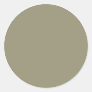 Spring Summer Colour Leek Green Classic Round Sticker