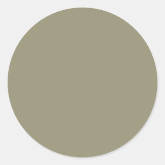 Spring Summer Colour Leek Green Classic Round Sticker