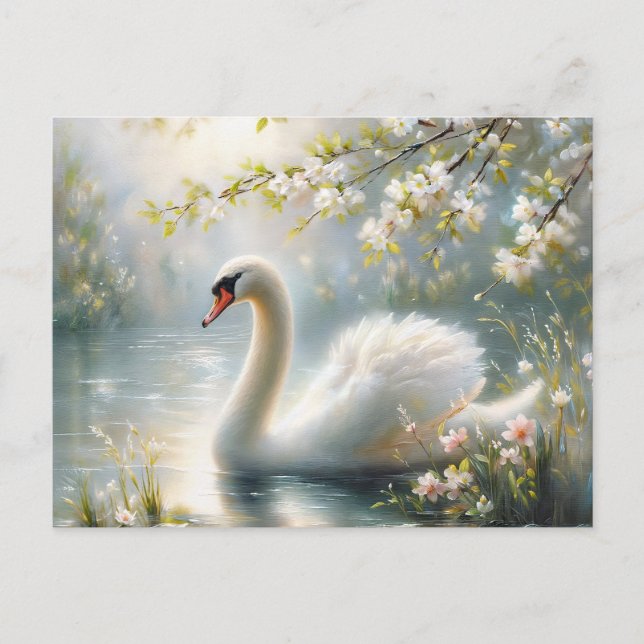 Spring Swan Swimming On Lake Blossoms Postcard (Front)
