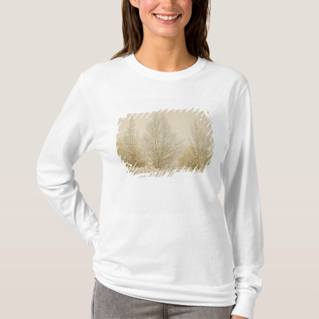 Spring T-Shirt (Front)