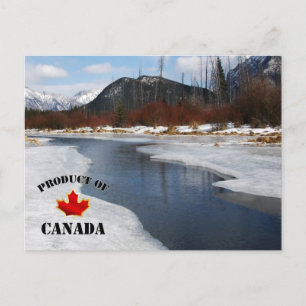 Spring Thaw in Banff Postcard