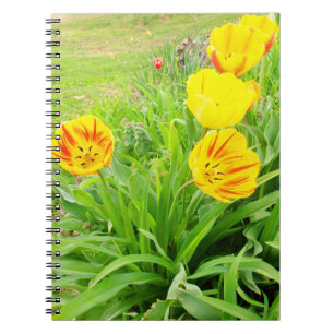 Spring Time 16 Notebook