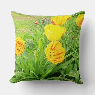 Spring Time 16 Square Pillow