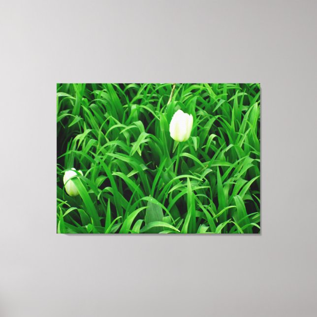 Spring Time 4 Canvas Print (Front)