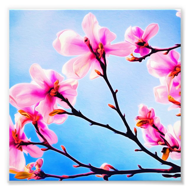 Spring Time Blossoms Photo Print (Front)