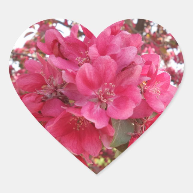 Spring Time Flower Heart Sticker (Front)
