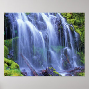 Spring-time fresh water flowing over moss poster