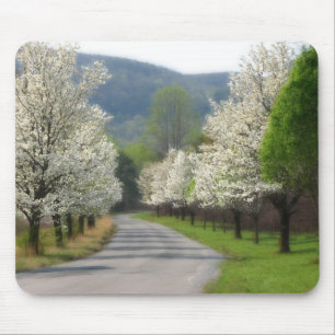 Spring time in the country mouse pad