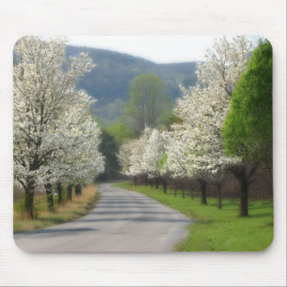 Spring time in the country mouse pad