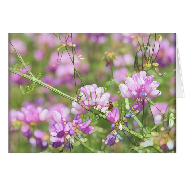 Spring Time LadyBug - Blank (Front Horizontal)