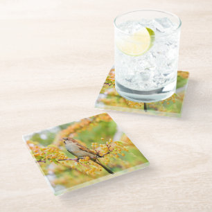Spring Time Sparrow Glass Coaster
