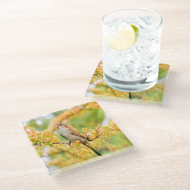 Spring Time Sparrow Glass Coaster (Angled)