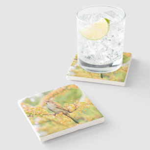 Spring Time Sparrow Stone Coaster