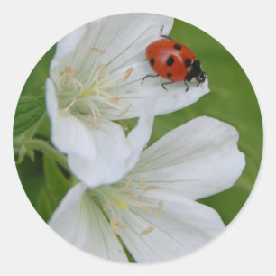 Spring Time Stickers